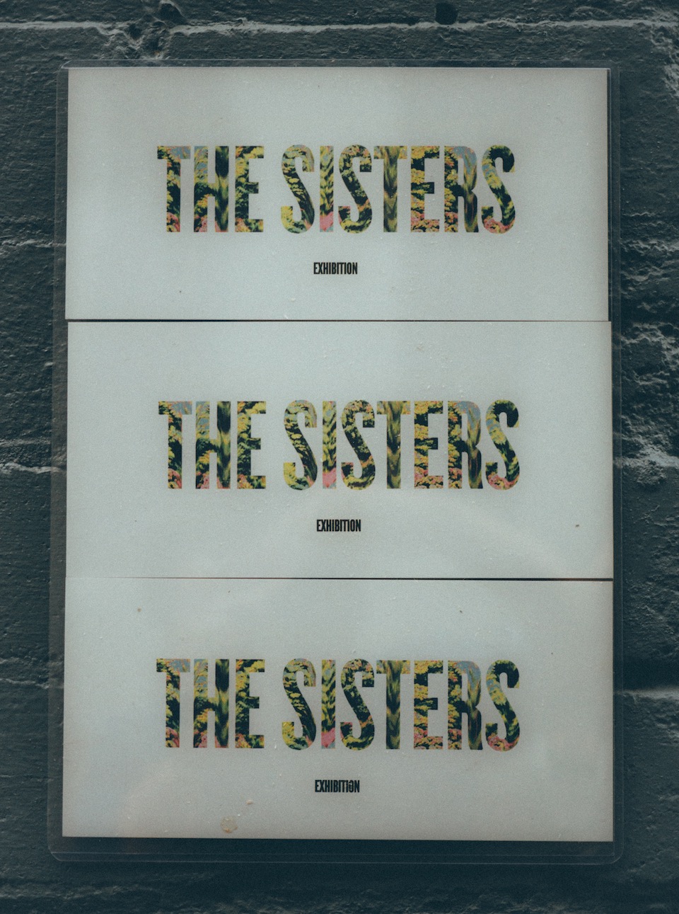 20151024_thesisters-7.jpeg
